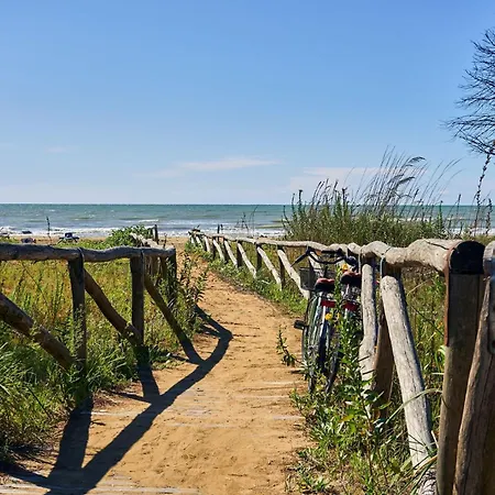 Live The Color In Bibiones Heart Bibione